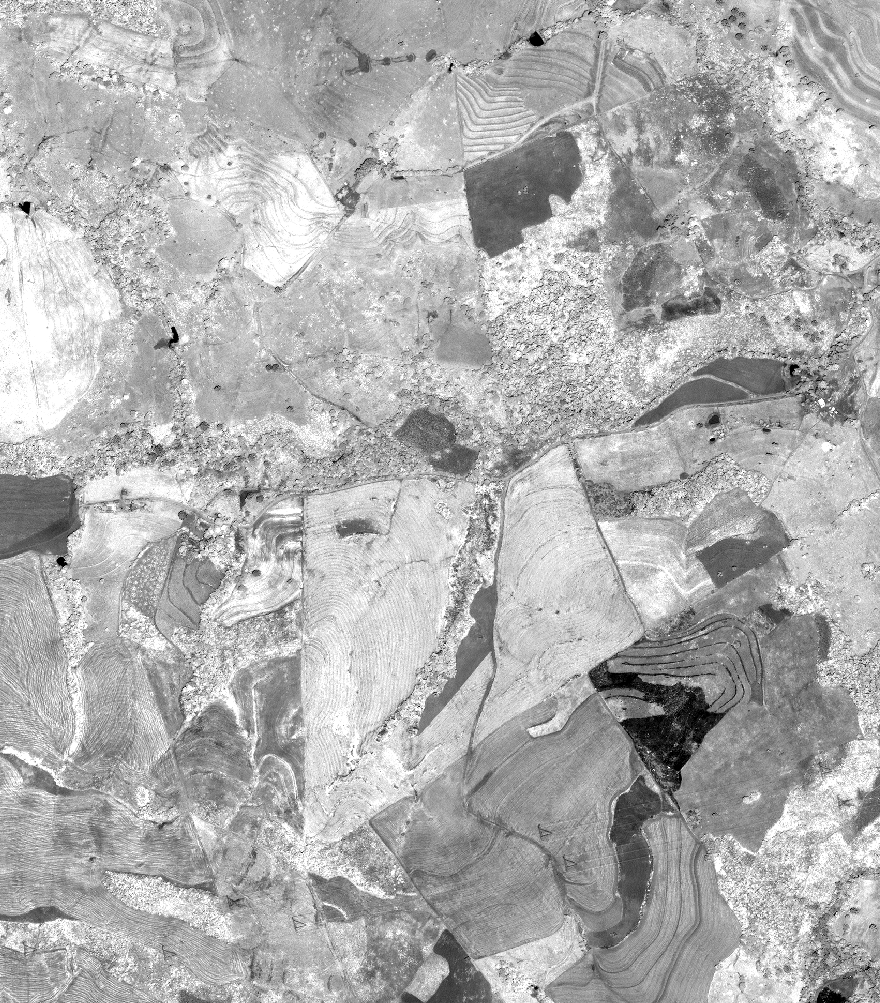 Corrección Geométrica